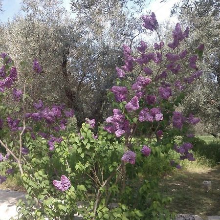 Masseria Costanza プティニャーノ エクステリア 写真