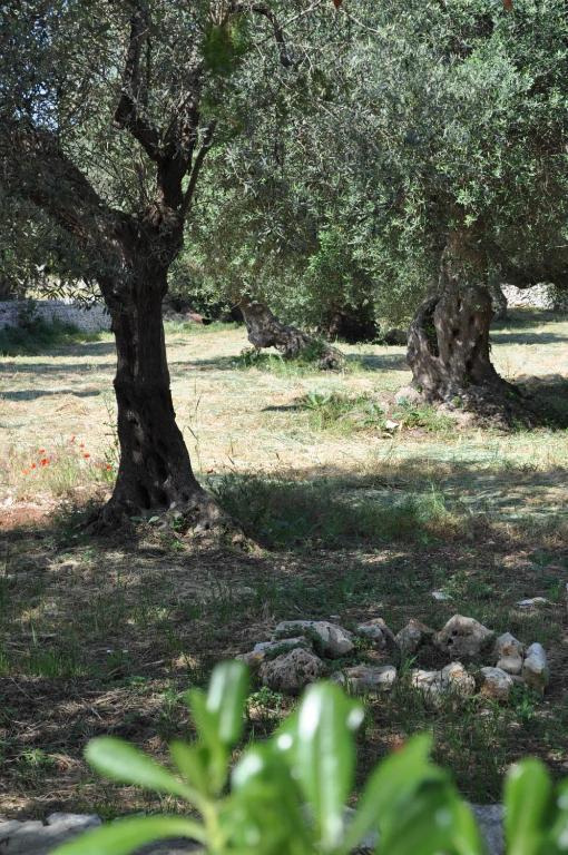 Masseria Costanza プティニャーノ エクステリア 写真